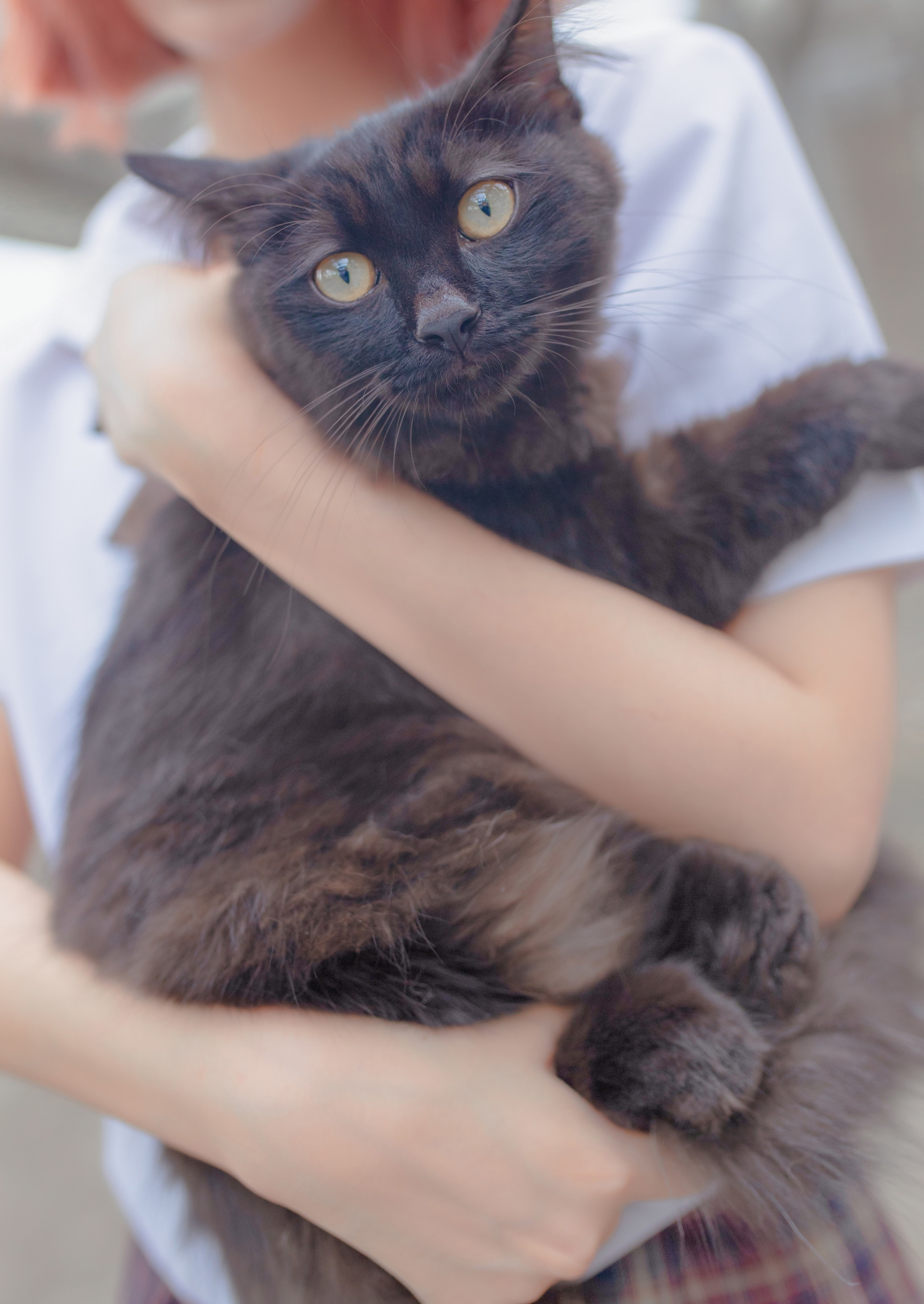 图片[1]-疯猫ss – NO.046 和猫 [18P]-XikXak